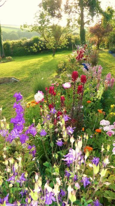 Horsna Parc Retreat Bed & Breakfast Saint Tudy ภายนอก รูปภาพ