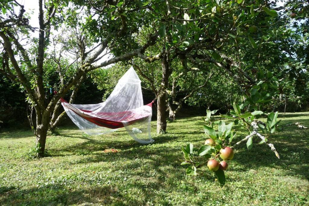 Horsna Parc Retreat Bed & Breakfast Saint Tudy ภายนอก รูปภาพ